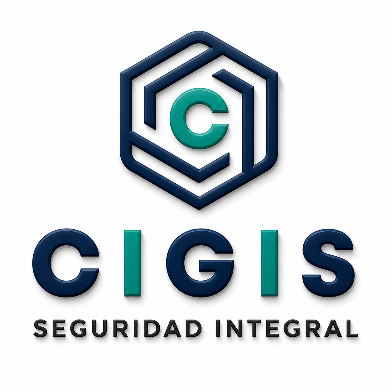 CIGIS Seguridad Integral